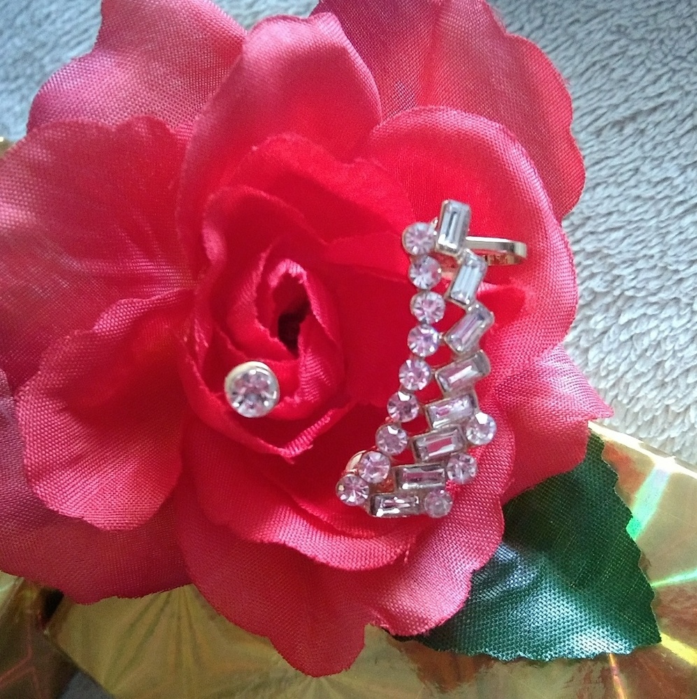 🌹CZ Stud & Ear Crawler🌹